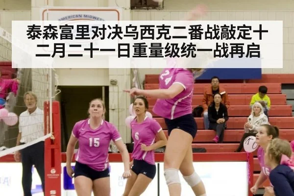 泰森富里对决乌西克二番战敲定十二月二十一日重量级统一战再启